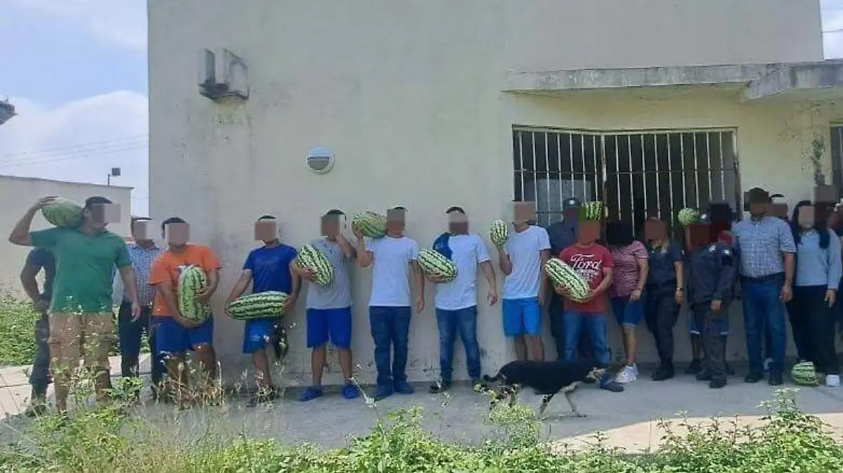 Jóvenes en Güémez cosechan sandías y valores en programa de la SSPT