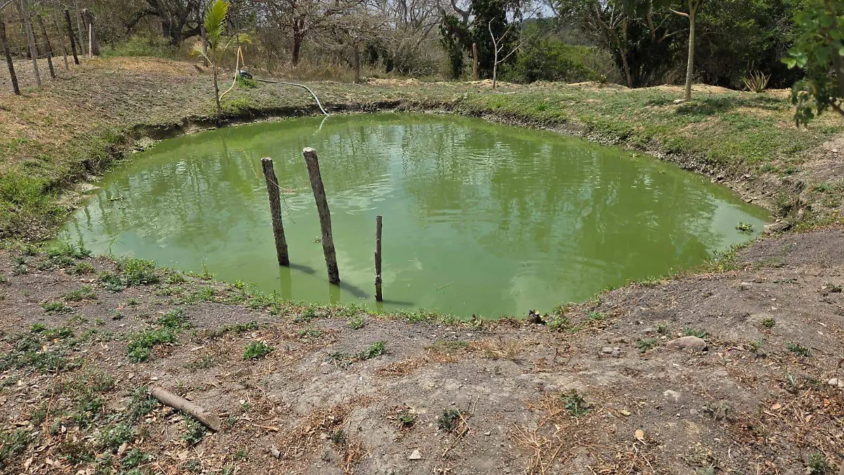 La falta de lluvias preocupa a las autoridades ya que se ven afectados los niveles en pozos y lagunas