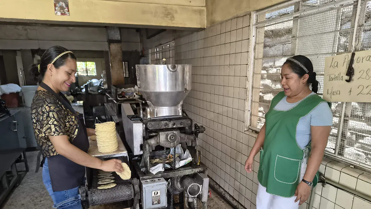 El precio de la masa en el sur de Tamaulipas y norte de Veracruz es de 22 pesos 