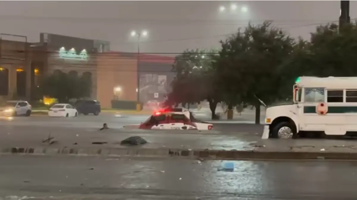 Reynosalluvia
