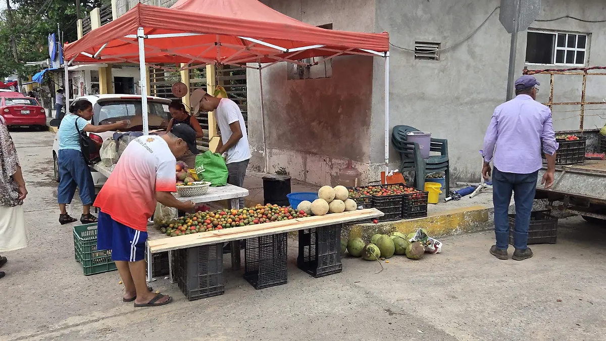 En el centro de Pueblo Viejo, todos los viernes se coloca un rodante donde el kilo de ciruela criolla se puede encontrar en 20 pesos el kilo