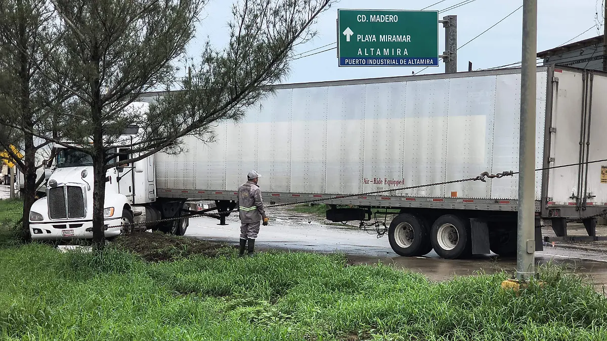El costado derecho del tractocamión se impactó contra un pino cuando se dirigía de Altamira a Ciudad Madero