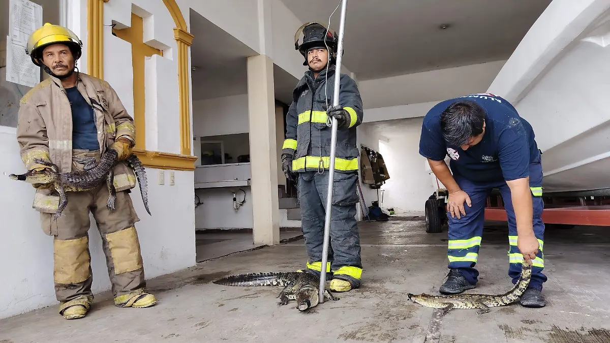 El departamento de Bomberos