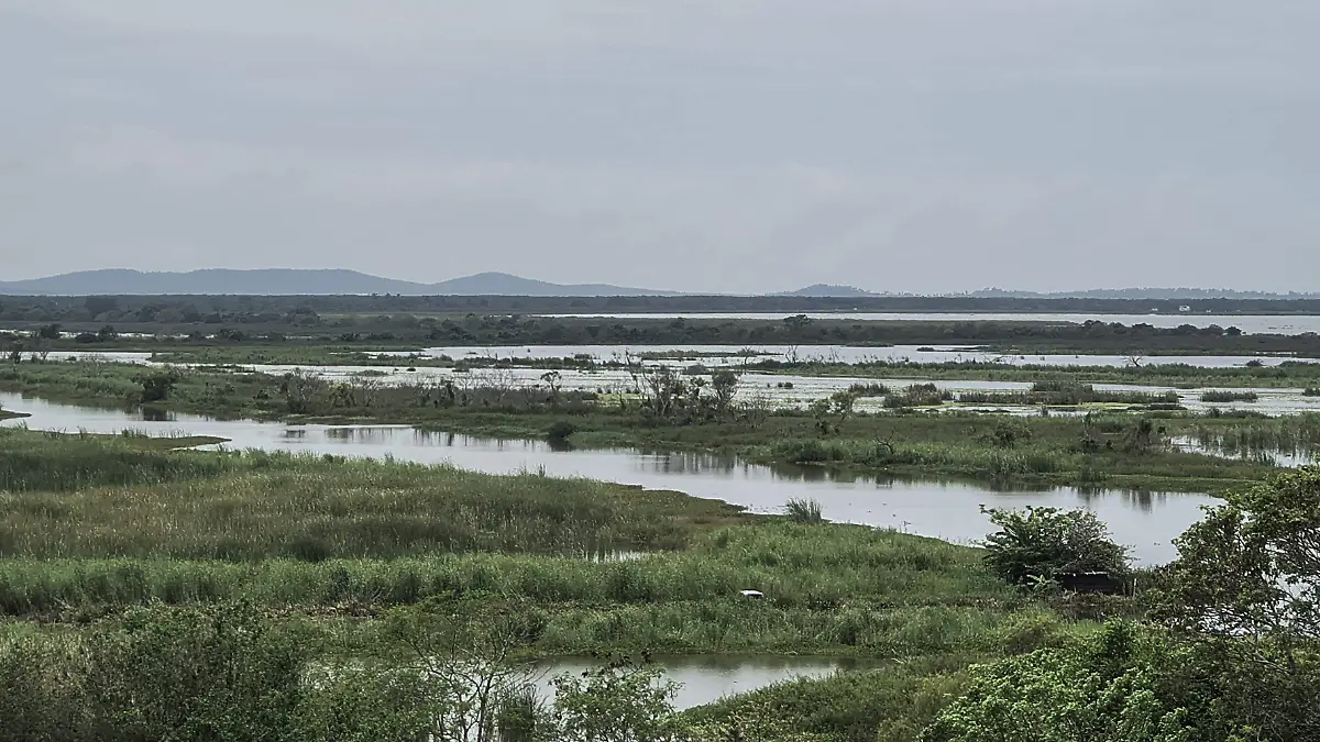 Apenas inicia el ascenso en el nivel del río Tamesí y la zona lagunera de amortiguamiento del sur de Tamaulipas ya se encuentra inundada