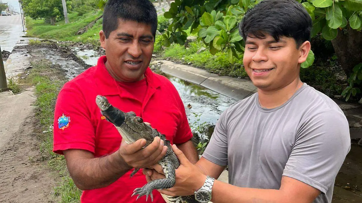 Trabajador de Servicios Públicos se vuelve leyenda al dominar reptil en inundación José Luis Tapia (2)
