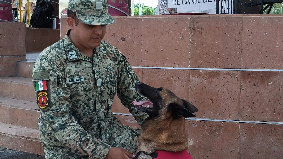 Bolillo y Luis De León, el binomio canófilo que cautiva a los norveracruzanos