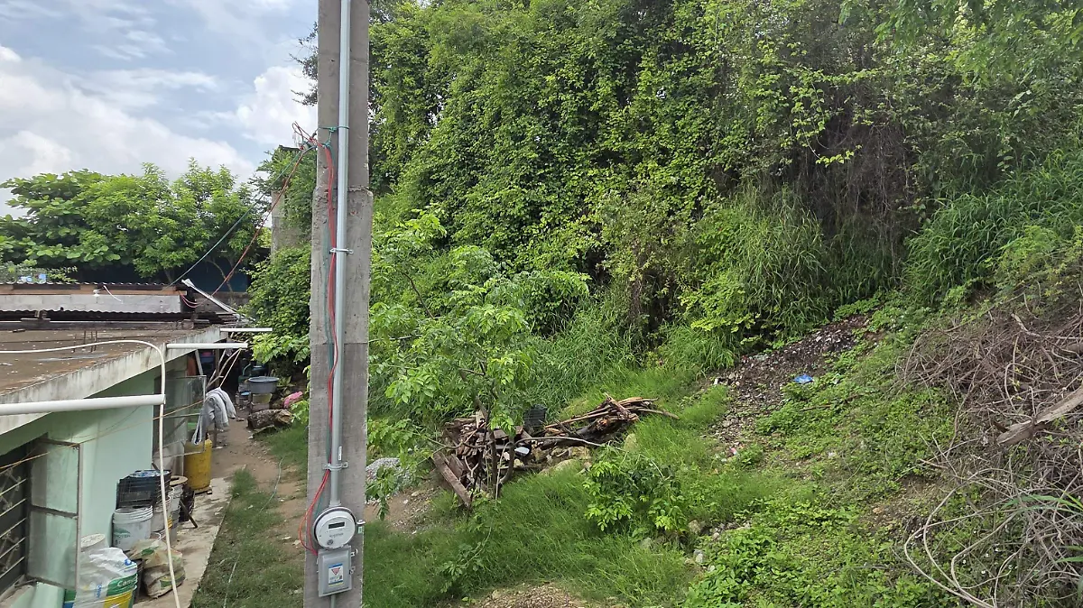  Al menos 300 familias viven actualmente en condiciones vulnerables dentro de esta colonia