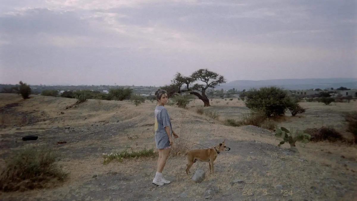 En el año 2000, Elizabeth relata haber visto una formación de objetos voladores no identificados sobre la avenida Universidad de Tampico