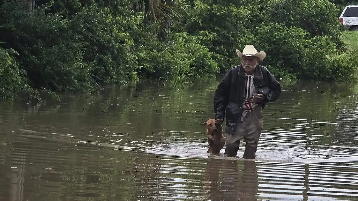 En Gómez Farias, Ángel Sierra es conocido por proteger a diversos canes