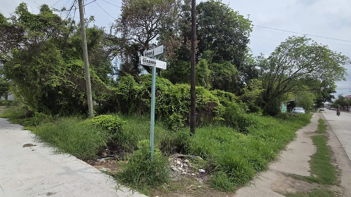 1000139310