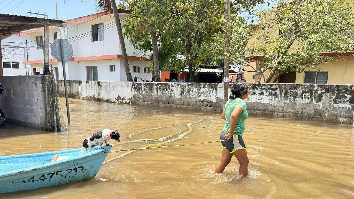 Las dueñas de 'Muñeca' no dudaron en volver por ella ante el riesgo de inundación crítica