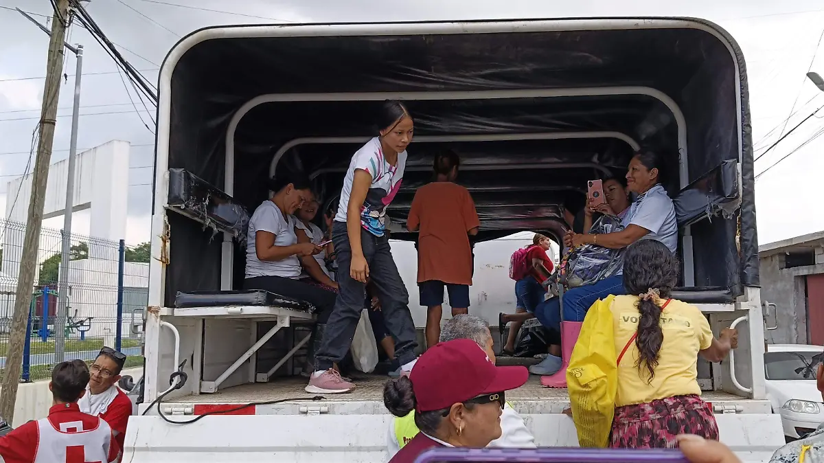 Las despicadoras fueron apoyadas por personal del Ejército para llegar a su trabajo