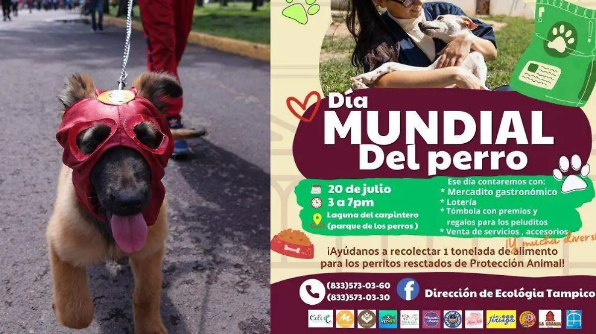 En Tampico, el Día del Perro se festejará con diversas actividades y campañas que buscan promover el bienestar animal