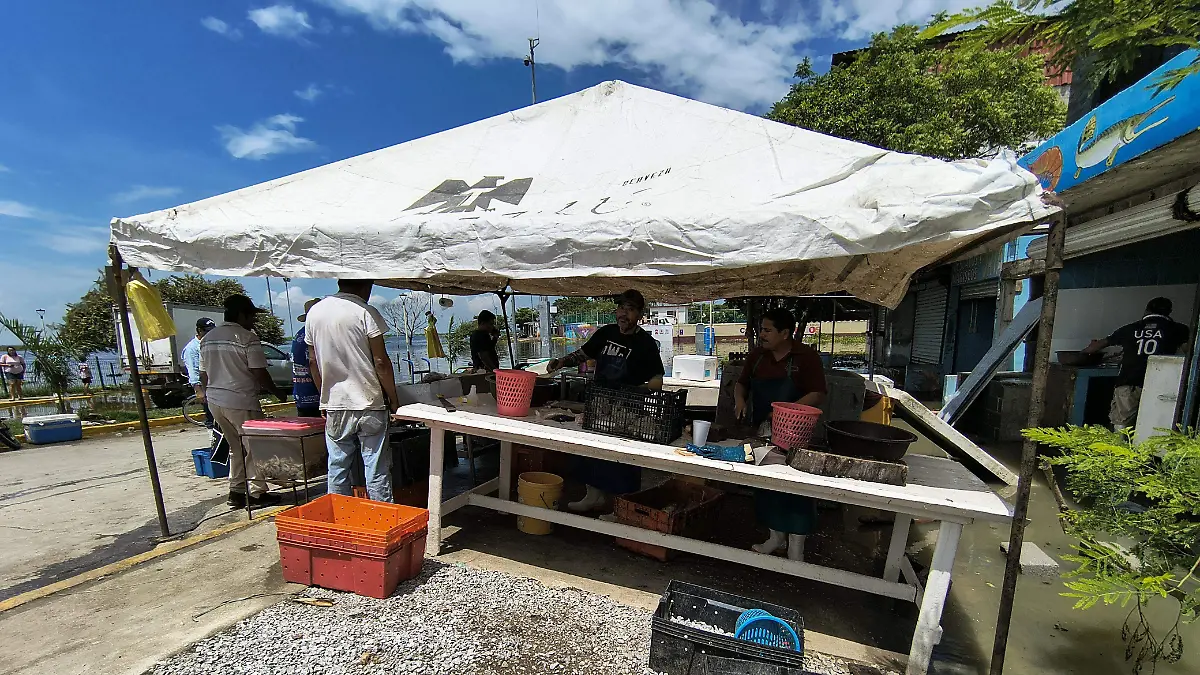 La venta de pescados y mariscos se lleva a cabo en el bulevar "Cuco Sánchez" al estar inundado el mercado La Puntillita
