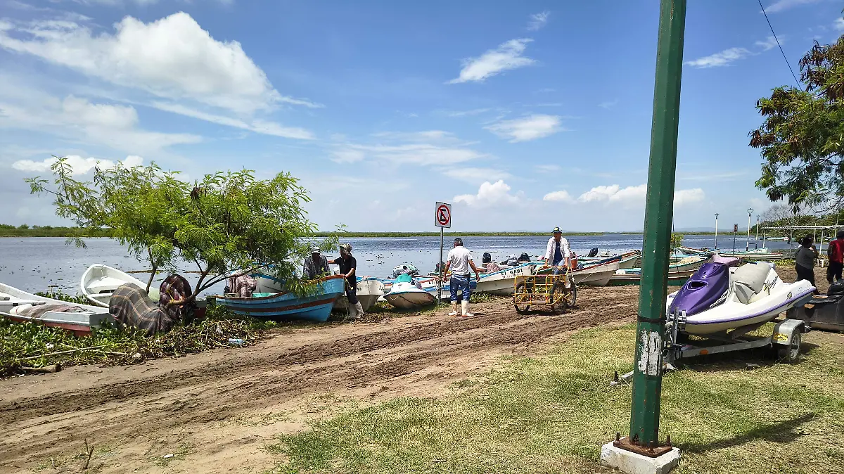Pescadores han cambiado el muelle para desembarcar a un costado de la Laguna del Champayán