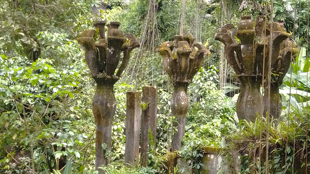 Xilitla cuanta con actividades de senderismo, rapel, avistamiento de aves y más