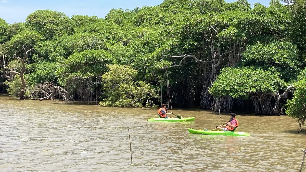 Un espacio que permite convivir con la naturaleza en el norte de Veracruz