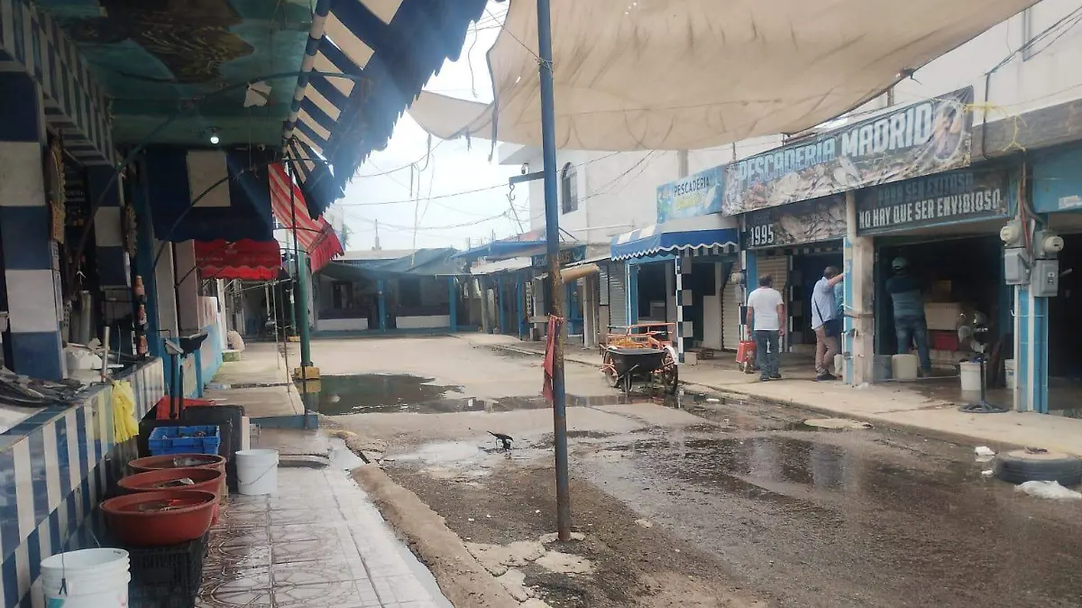 Autoridades monitorean las colonias con más encharcamientos para evitar la reproducción del mosquito del dengue