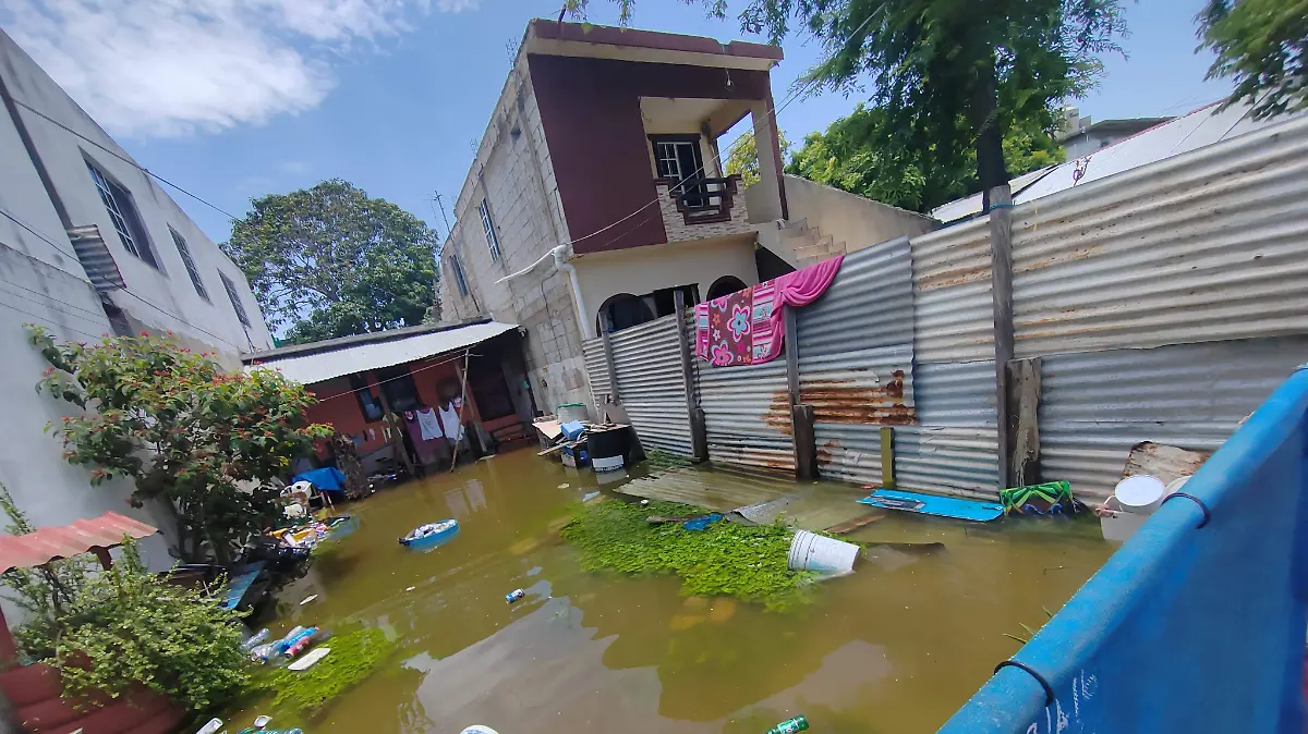 WhatsApp Image 2025-07-14 at 12.59.33 PM