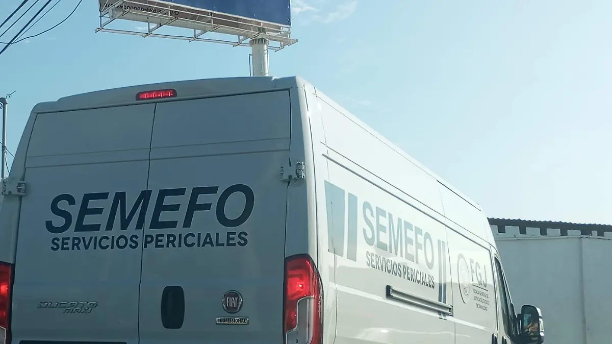 MTM Semefo