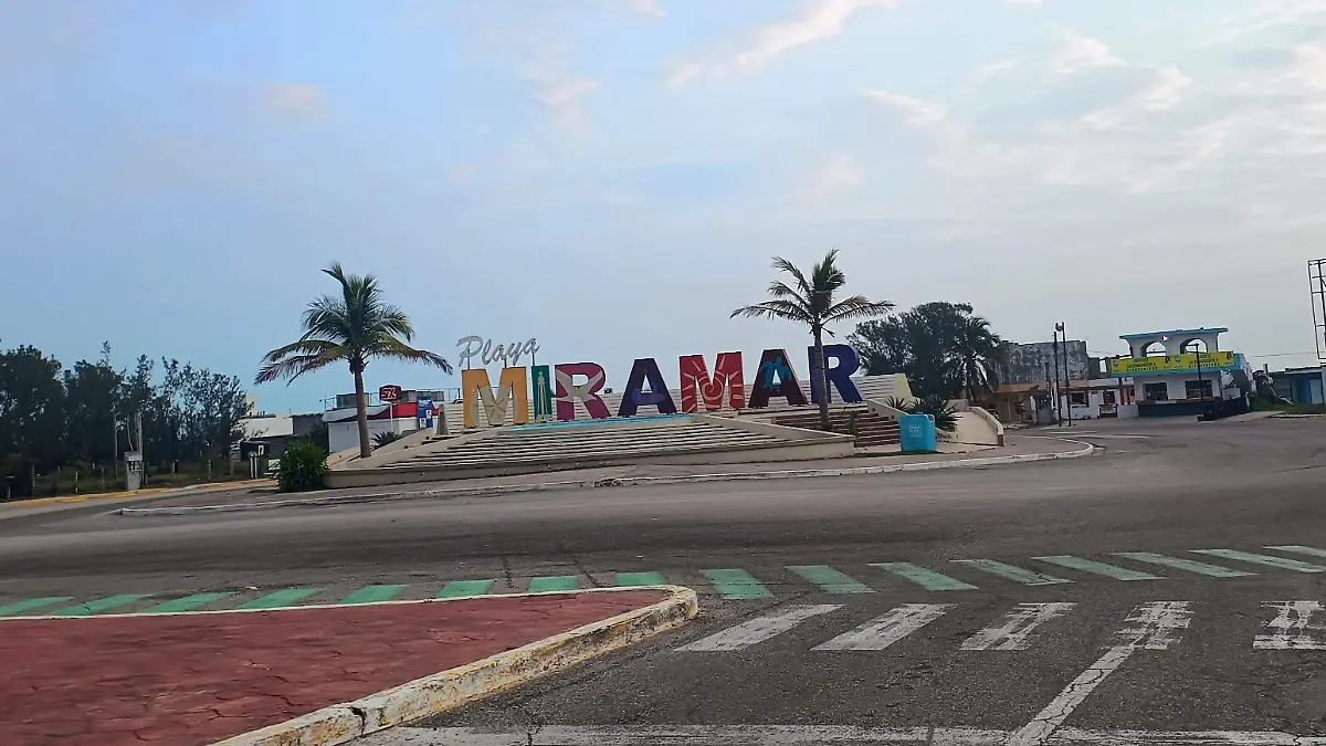 Playa Miramar ha sido escenario de abandono de perros