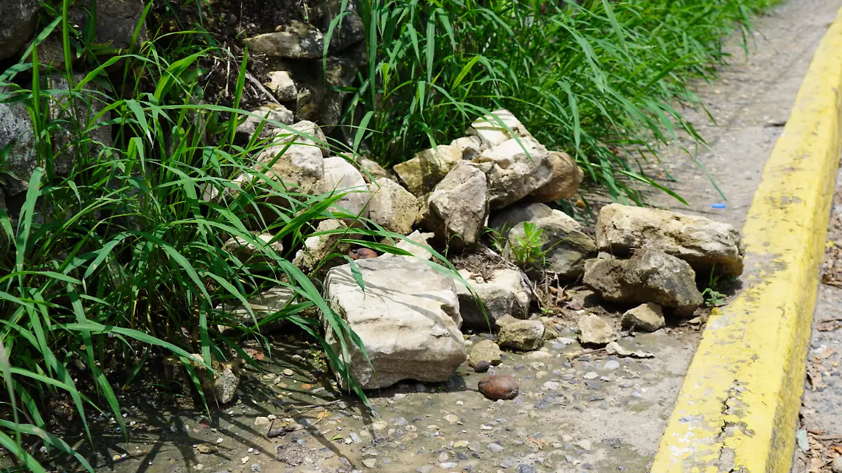 Las bases de las capillas eran de pedacearía de piedra, porcelana troncos, varillas y cuarzos