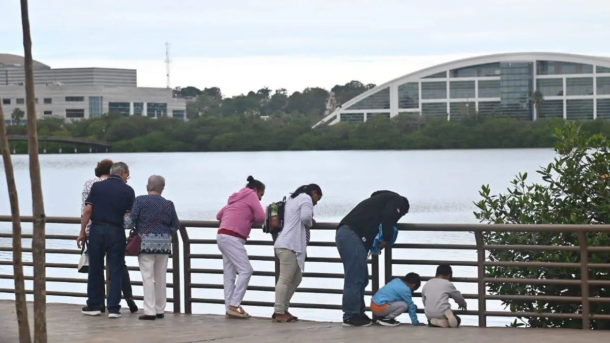 SMN alerta por posibles granizadas y vientos fuertes en la región