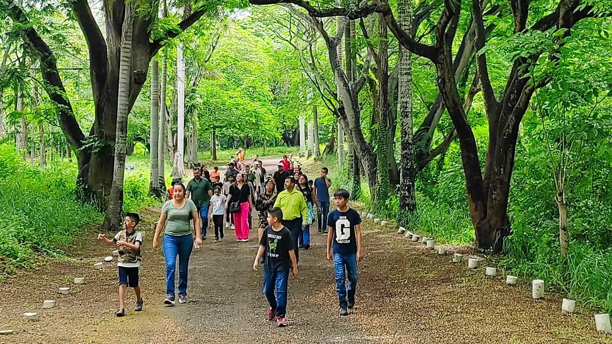 Durante el Paseo Dominical en Tampico, las familias pudieron recorrer el batallón  José Luis Tapia 
