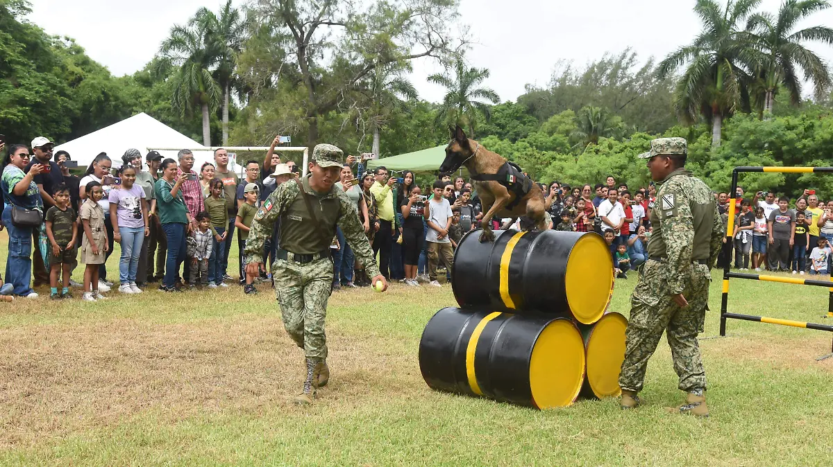 Durante el Paseo Dominical en Tampico también hubo exhibición de binomios caninos José Luis Tapia