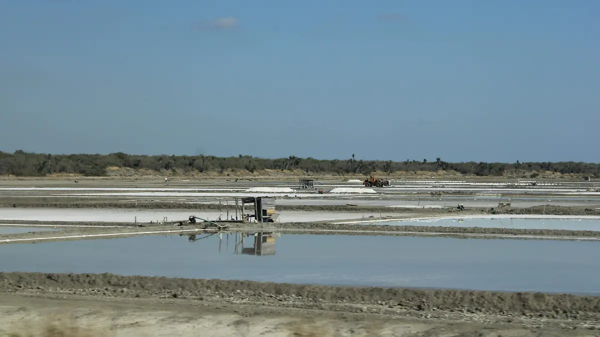 Mediante la acumulación de agua salada se extrae la sal de las parcelas
