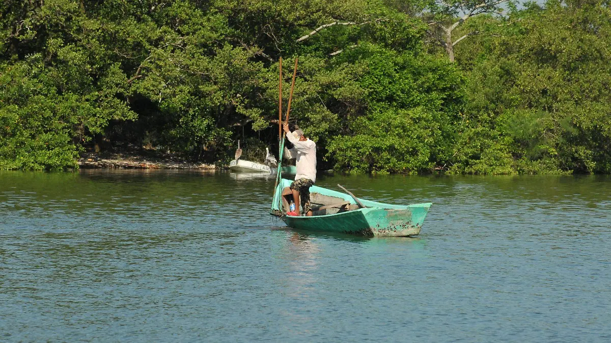 Pesca sin regulación amenaza la lagunas ostrícolas en Pueblo Viejo y Tampico Alto