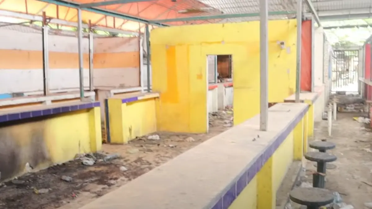 Tampico mercados temporales