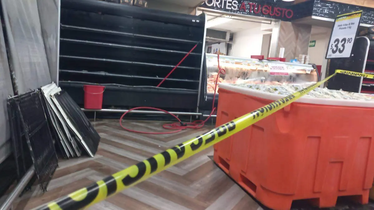 Arteli carne Coepris