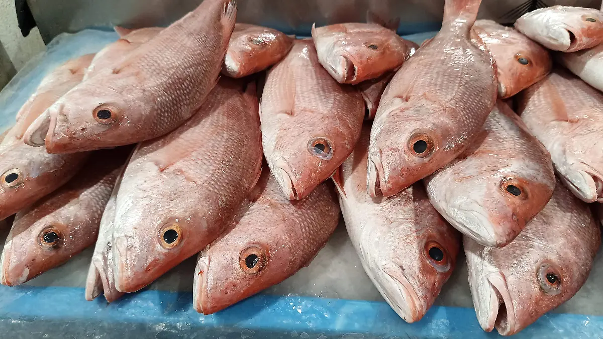 El pescado fresco