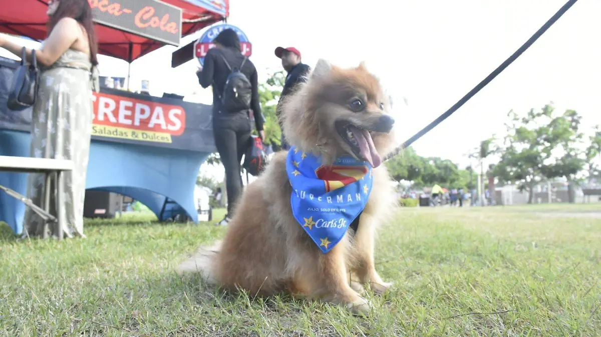 Perro calor Tampico