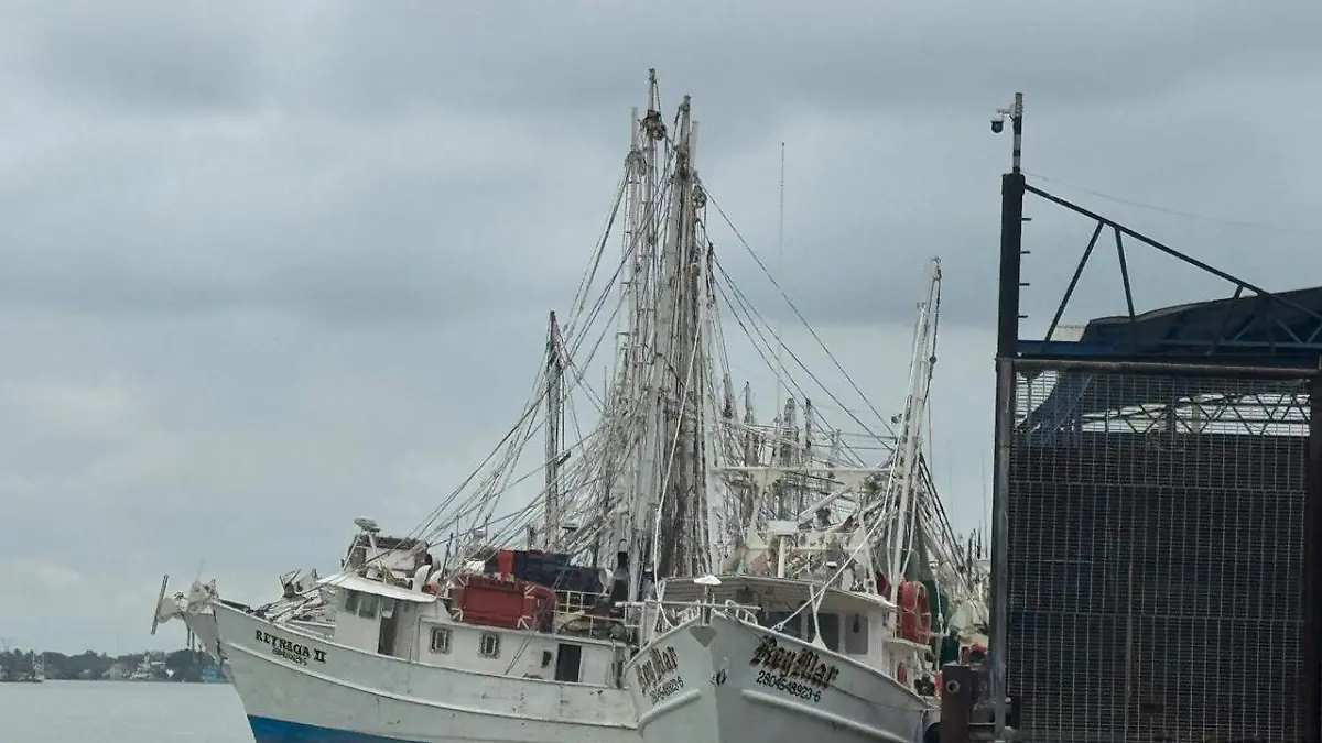 Disminuye la captura de camarón en Tamaulipas, afectando a pescadores y la economía local