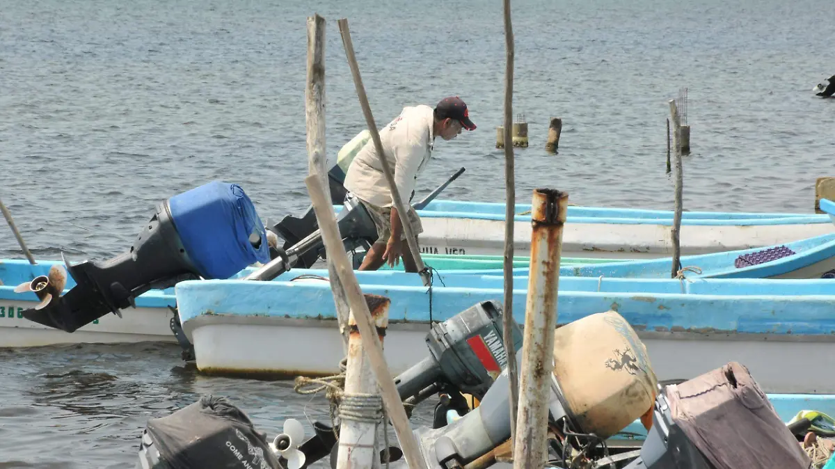 Pescadores Veracruz dragado