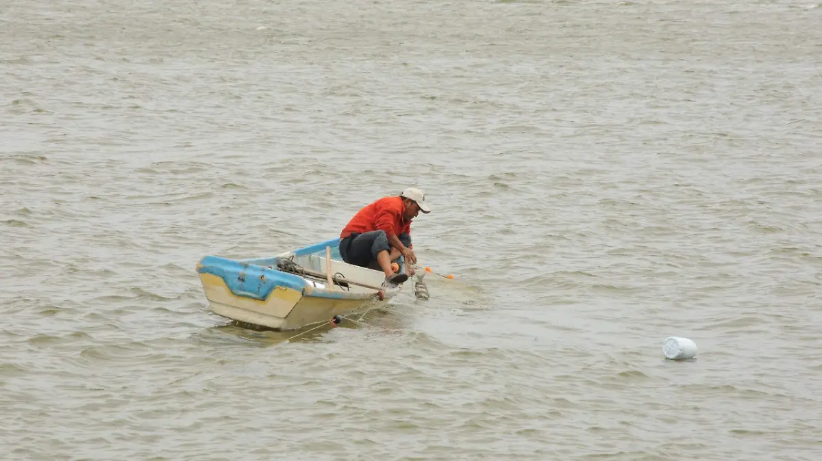 Producción pesquera Veracruz