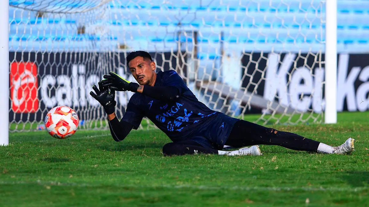 Jaiba Brava2
