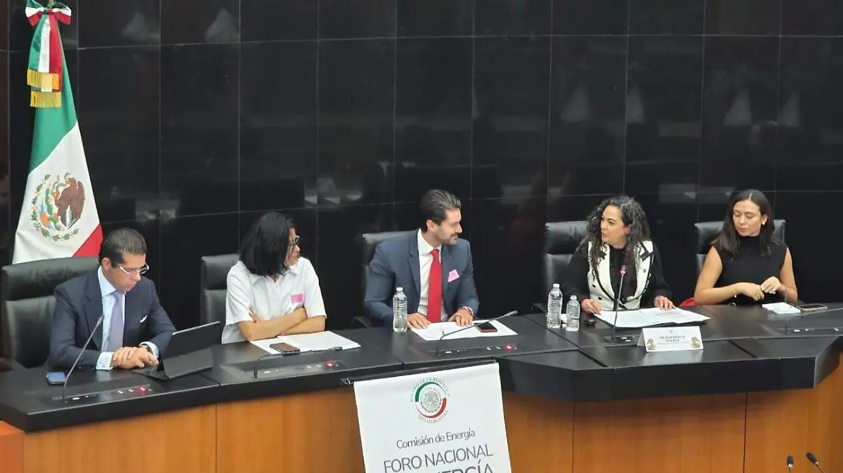 Alfonso Solís Haces, director de Asuntos Corporativos de Woodside