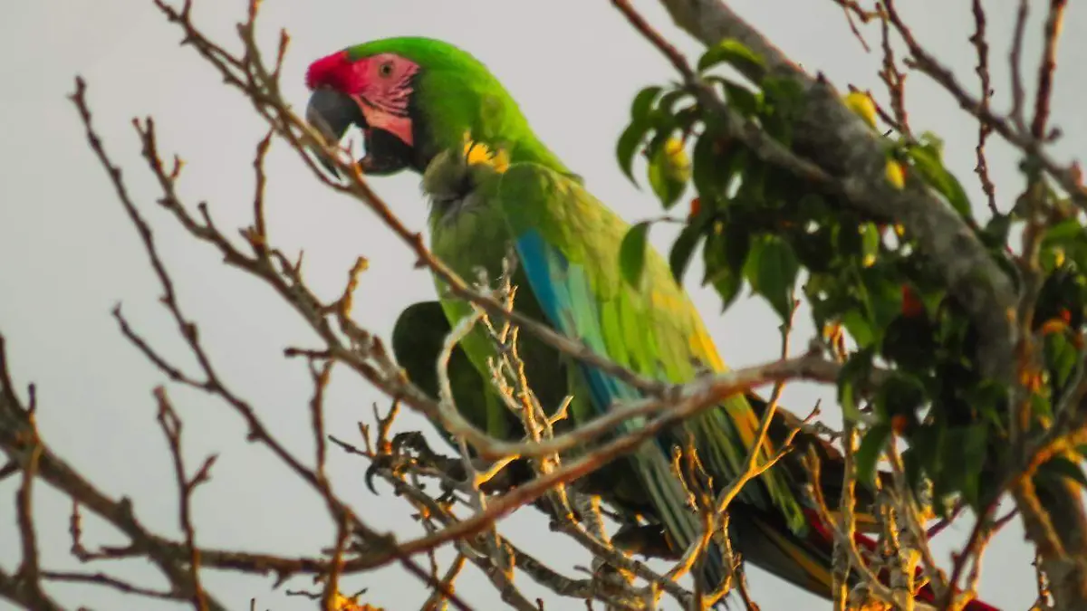 527103567_1329210429207069_4541821810975293527_n