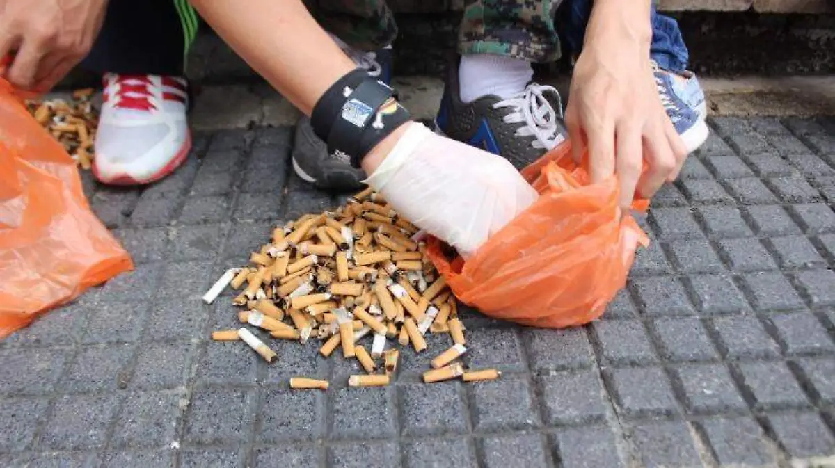 Una sola colilla de cigarro puede contaminar hasta 50 litros de agua, comprometiendo la flora y la fauna marina debido a la liberación de metales pesados