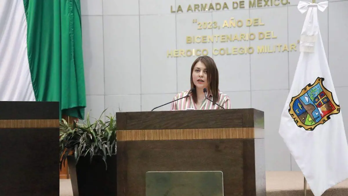 En febrero del 2024, Consuelo Nayeli Lara, presentó la inicitiva del Sistema de Cuidados Estatales impulsada por un caso familiar
