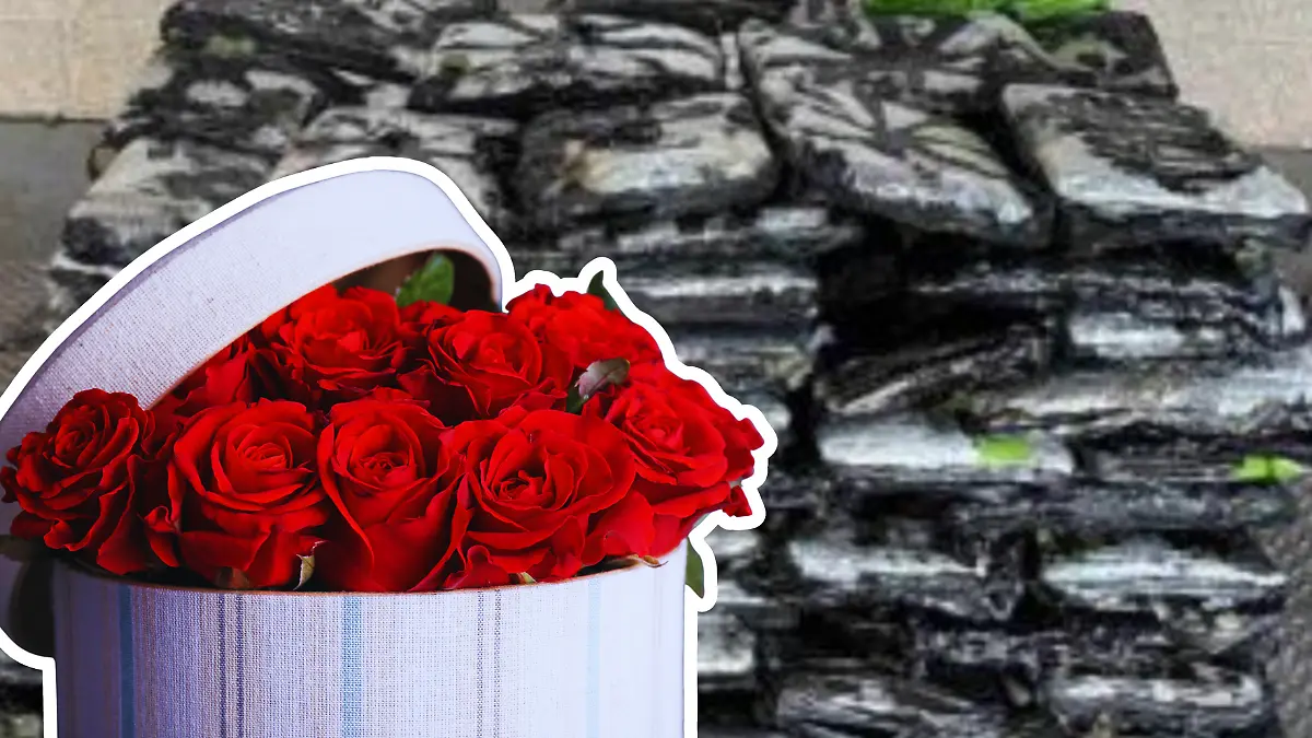 Incautan casi media tonelada de metanfetamina camuflada en rosas CBP y Canva