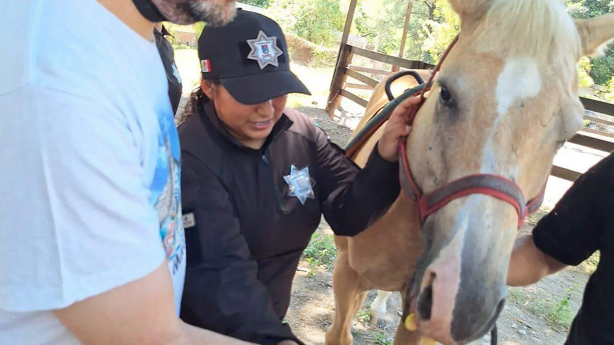 La persona experimenta la diversión y alegría al montar a caballo, explican los especialistas