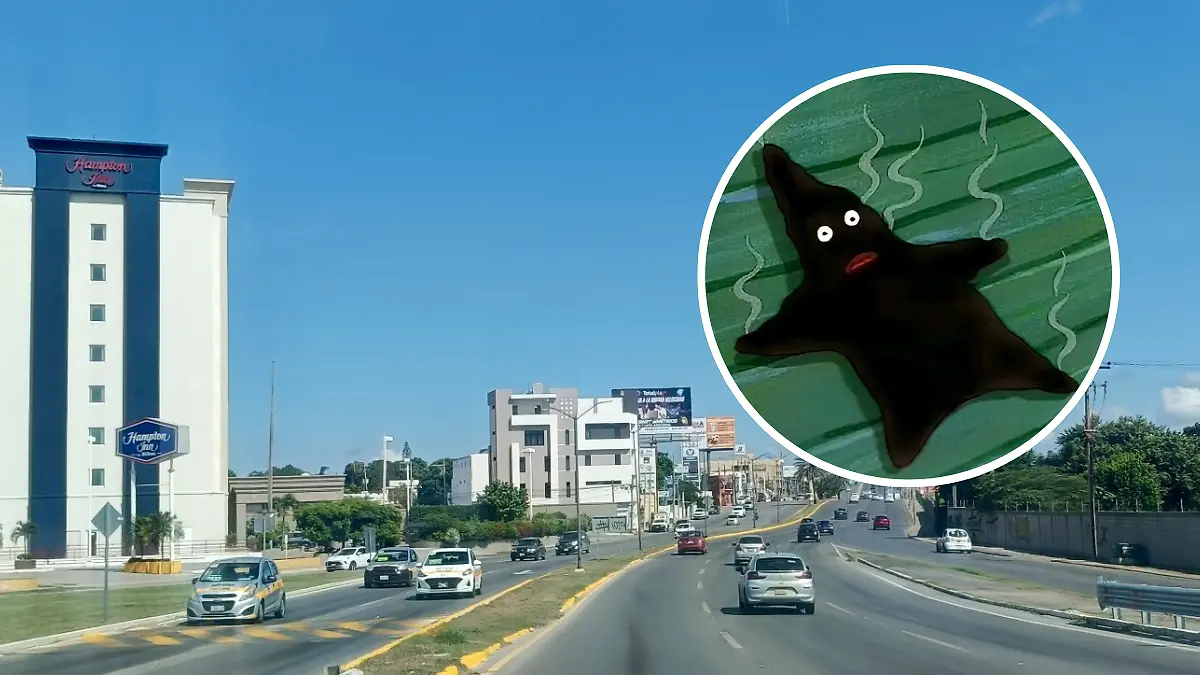 La zona conurbada de Tamaulipas alcanzará 32°C con 15% de lluvia, advirtió el SMN Antonio Campos