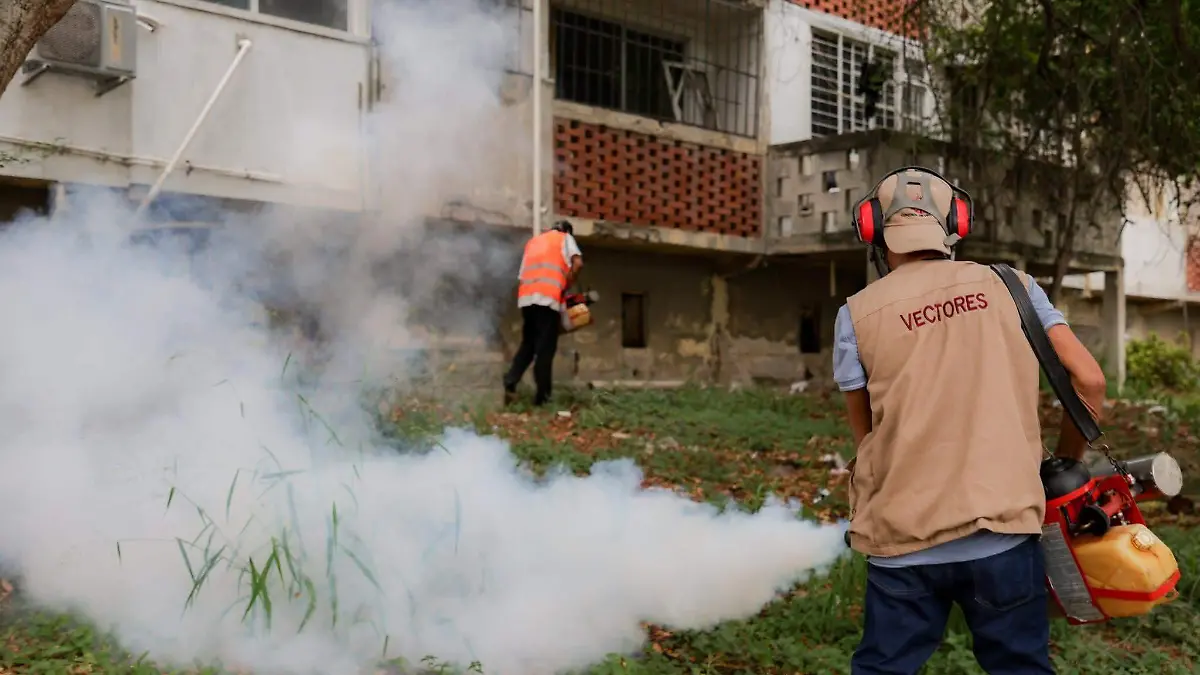 TMQ DENGUE