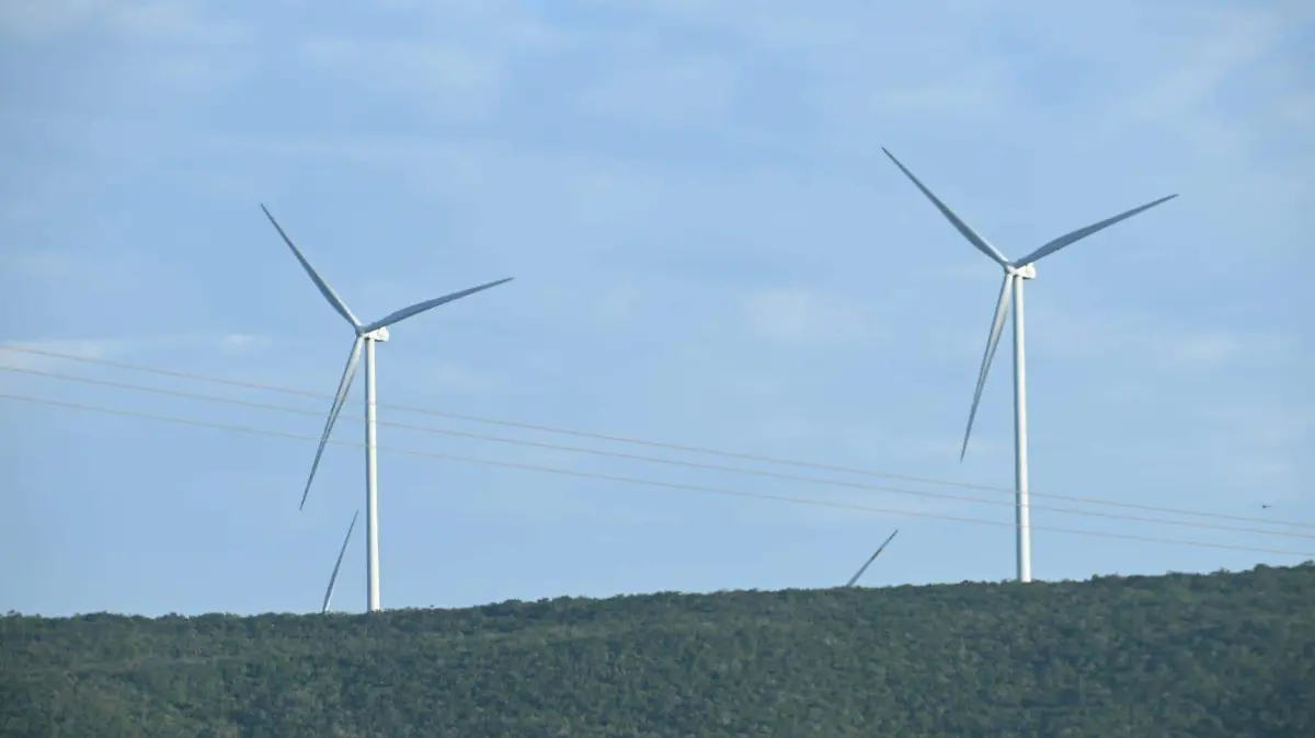 parques eolicos