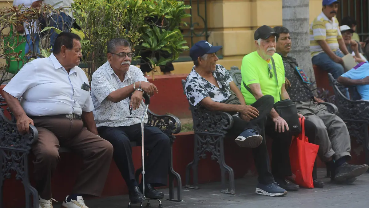 El envejecimiento saludable comprende que los adultos mayores empredan nuevas actividades, como continuar con sus estudios, iniciar una nueva profesión y retomar amistades