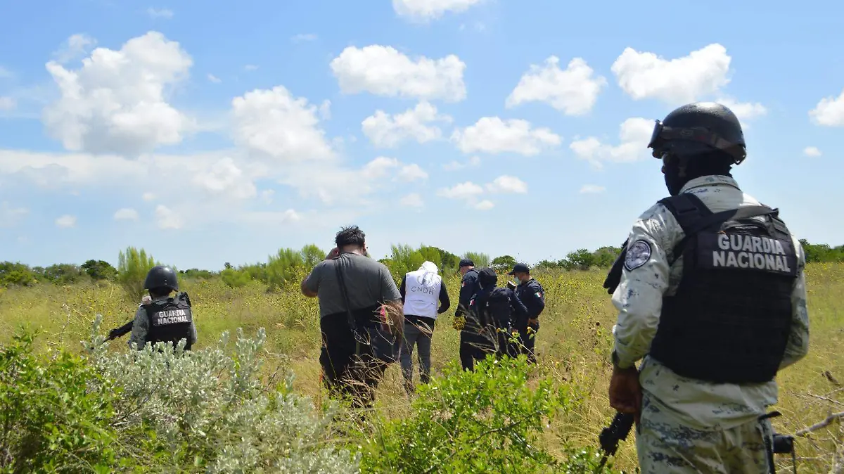 Colectivos aseguran que existe una crisis forense en el estado con varios sitios sin revisar por expertos